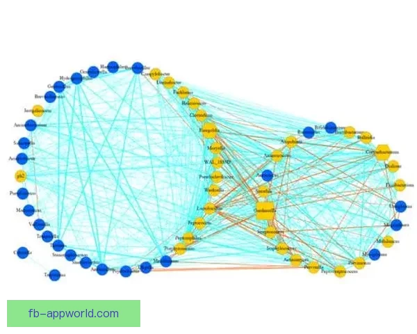 FB体育平台是否可靠其优势与风险全面解析