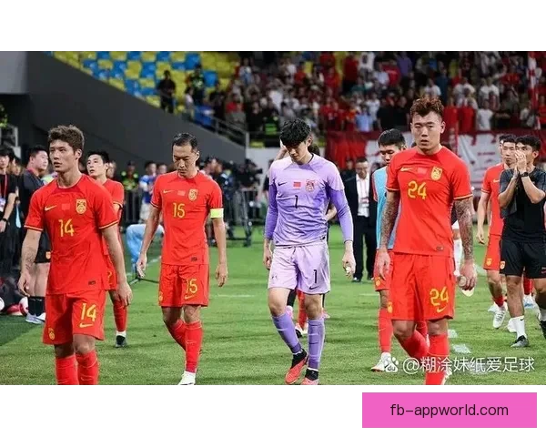 世界杯胜负预测深度解析与球队实力对比全面指南